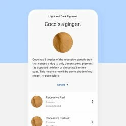 Wisdom Panel Essential DNA Test -Hond winkel image 3048