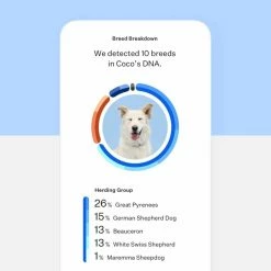 Wisdom Panel Essential DNA Test -Hond winkel image 3052