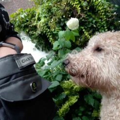 EQDOG Beloningszakje Click And Treat Zwart -Hond winkel image 3081