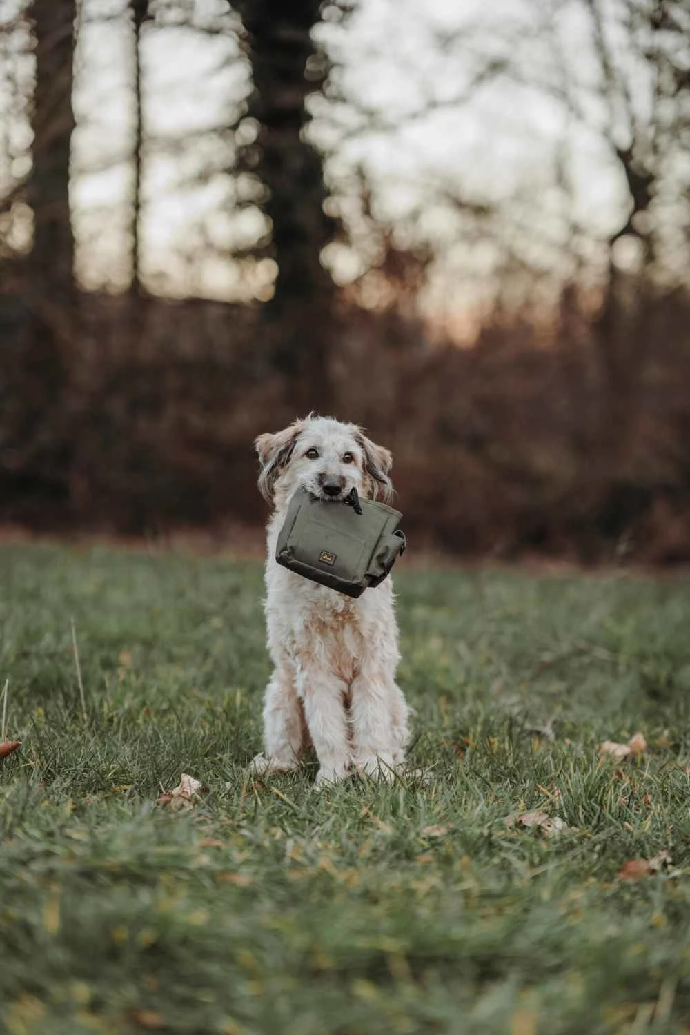 Hunter Beloningszakje Tyra Khaki 4 Hunter Beloningszakje Tyra Khaki - Afbeelding 2