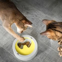 BeOneBreed IntelliKatt Anti Schrok Voerbak -Hond winkel image 3127