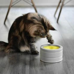 BeOneBreed IntelliKatt Anti Schrok Voerbak -Hond winkel image 3130