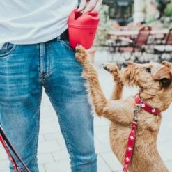 Hunter Beloningszakje Lugo Rood -Hond winkel image 3235