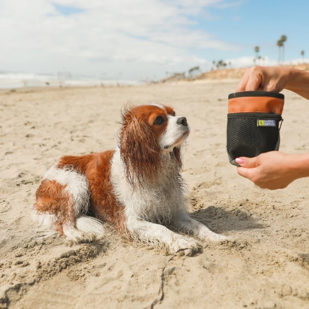 BeOneBreed Beloningszakje Treat Pouch Compact 4 BeOneBreed Beloningszakje Treat Pouch Compact - Afbeelding 2