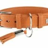 Hunter Hondenhalsband Cannes Oranje -Hond winkel image 325
