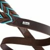 Hunter Hondenriem Solid Education Cord Bruin Turquoise -Hond winkel image 3269