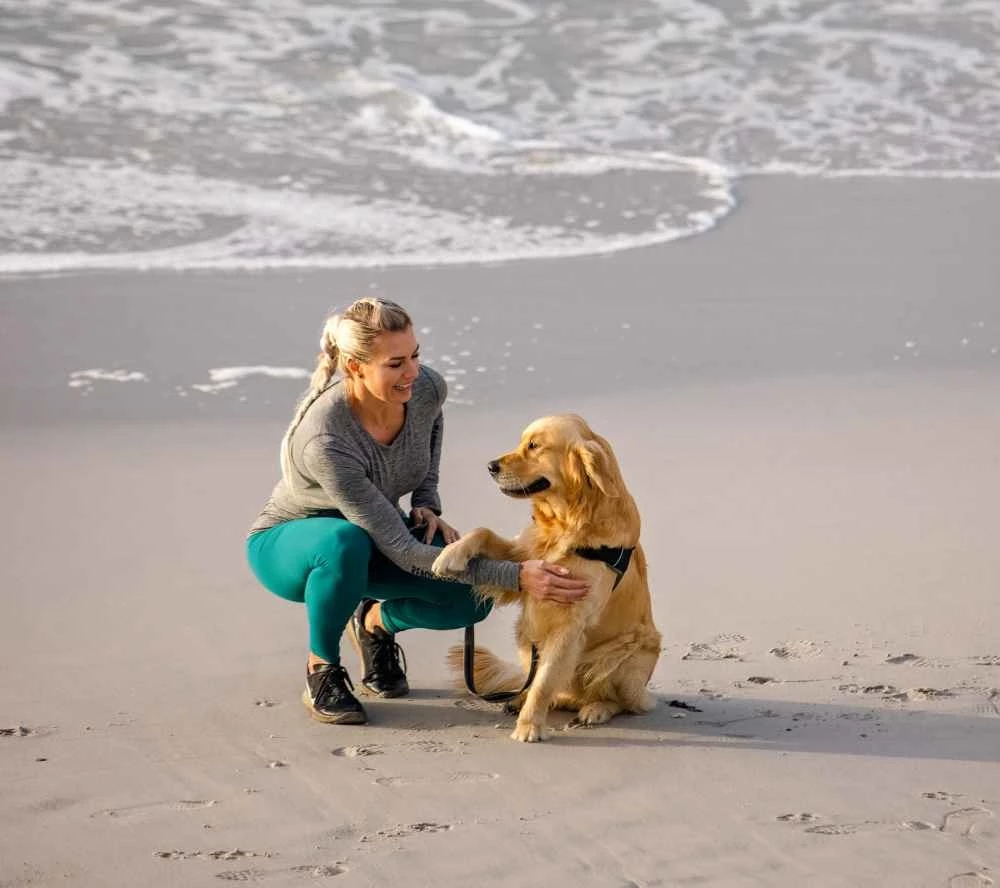 Rogz Hondenriem Airtech Classic Grijs 5 Rogz Hondenriem Airtech Classic Grijs - Afbeelding 3