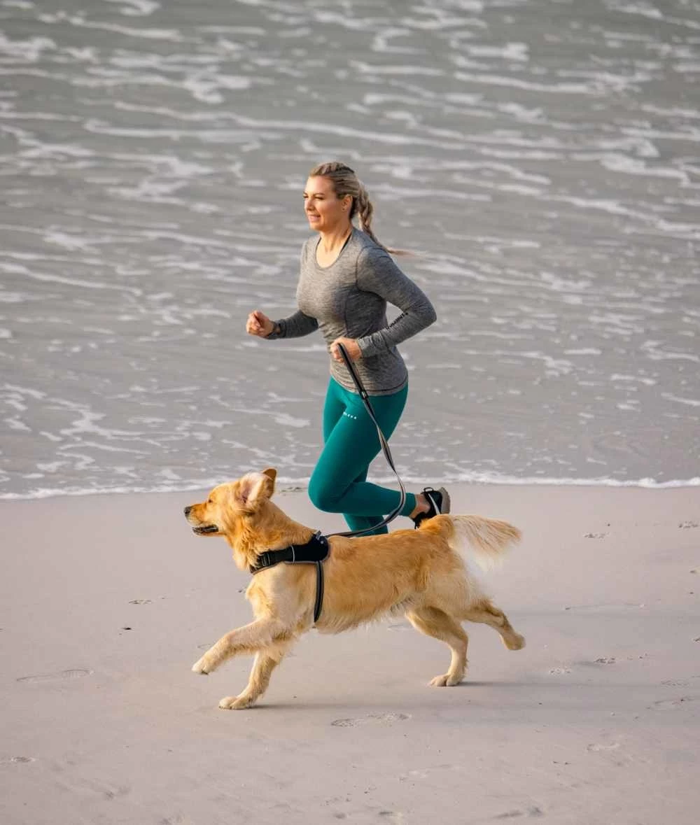 Rogz Hondenriem Airtech Classic Grijs 6 Rogz Hondenriem Airtech Classic Grijs - Afbeelding 4