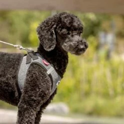 Curli Hondenriem Ultra Sterk Pocket Leash 10 Curli Hondenriem Ultra Sterk Pocket Leash -Hond winkel image 3331