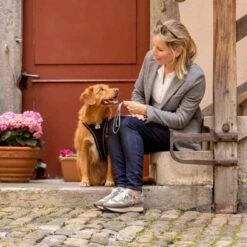 Curli Hondenriem Ultra Sterk Pocket Leash 12 Curli Hondenriem Ultra Sterk Pocket Leash -Hond winkel image 3333