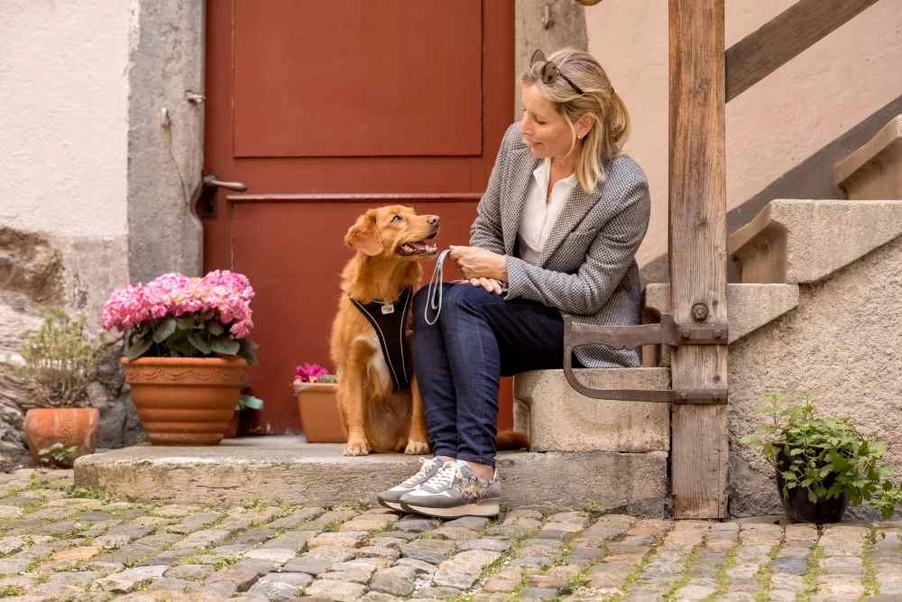 Curli Hondenriem Ultra Sterk Pocket Leash 7 Curli Hondenriem Ultra Sterk Pocket Leash - Afbeelding 5