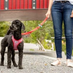 Curli Verstelbare Hondenriem Rood -Hond winkel image 3369