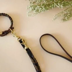 Hunter Verstelbare Hondenriem Solid Education Duo Bruin 11 Hunter Verstelbare Hondenriem Solid Education Duo Bruin -Hond winkel image 3381