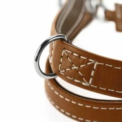 Hunter Hondenriem Tara Cognac/Bruin -Hond winkel image 3396