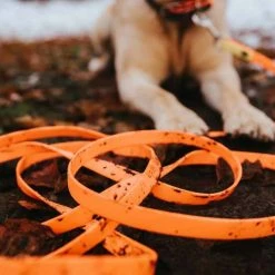 Hunter Jachtlijn Hond Convenience Oranje -Hond winkel image 3424