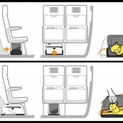 Sleepypod Hondendraagtas Air First Blush -Hond winkel image 346