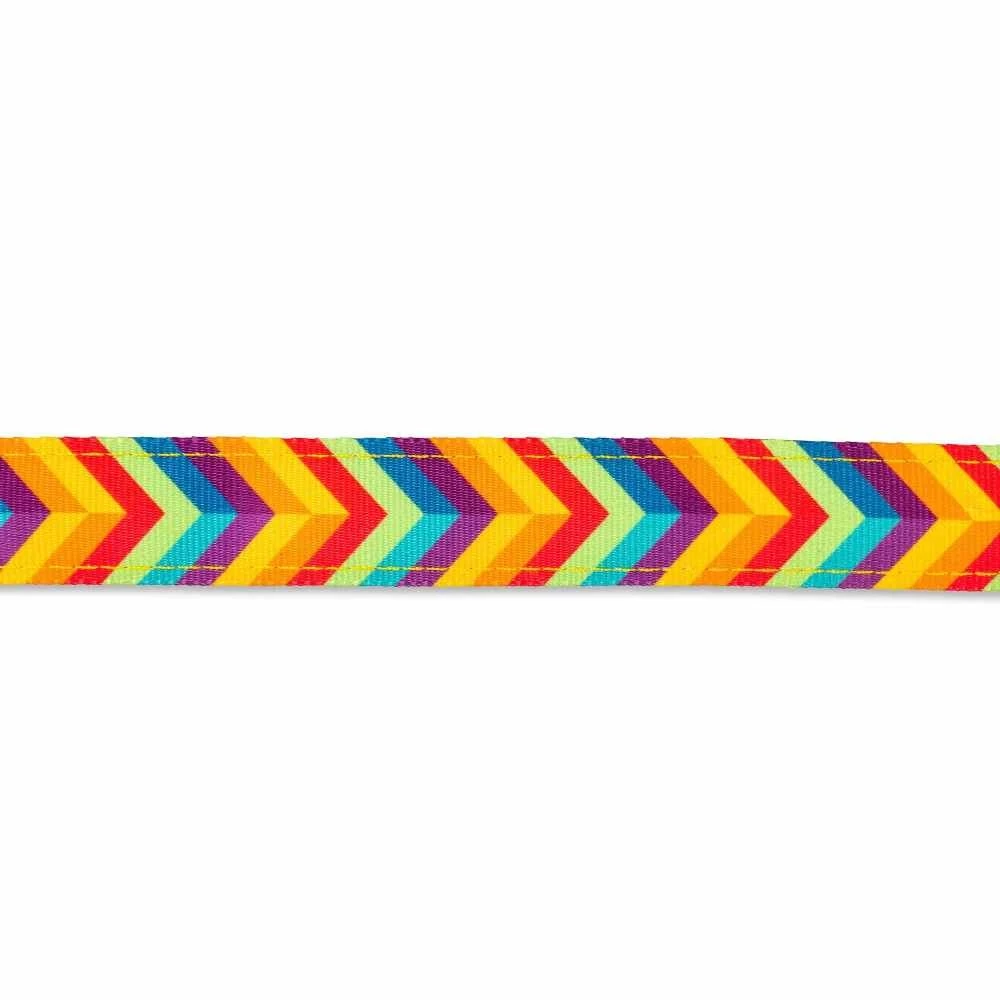 Max&Molly Max & Molly Hondenriem Multi Function Summertime 4 Max&Molly Max & Molly Hondenriem Multi Function Summertime - Afbeelding 2