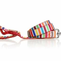 DOOG Hondenriem Neopreen Clip It Scooby 7 DOOG Hondenriem Neopreen Clip It Scooby -Hond winkel image 3556