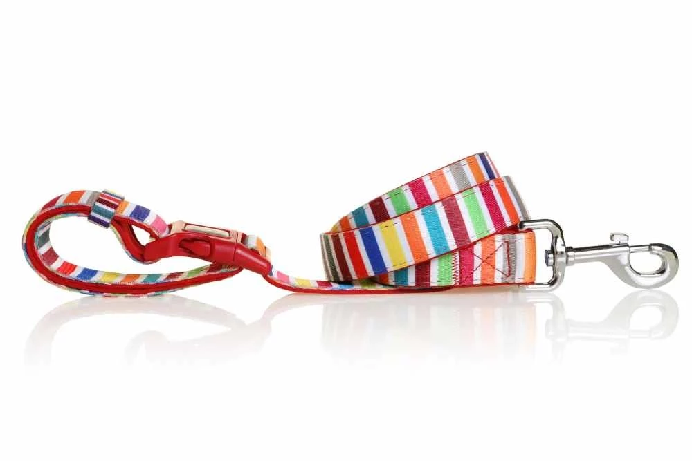 DOOG Hondenriem Neopreen Clip It Scooby 5 DOOG Hondenriem Neopreen Clip It Scooby - Afbeelding 3