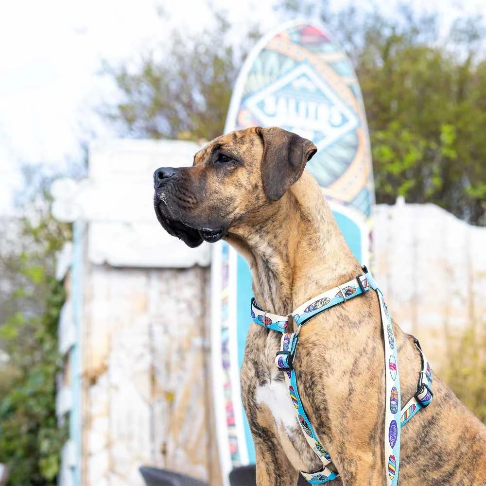 Max&Molly Max & Molly Hondenriem Short Leash Aloha 4 Max&Molly Max & Molly Hondenriem Short Leash Aloha - Afbeelding 2