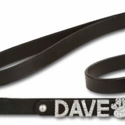 Doxtasy Hondenriem Met Naam Large Zwart