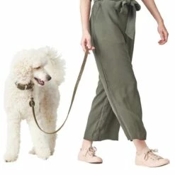 Hunter Hondenriem Groen Leer -Hond winkel image 3677