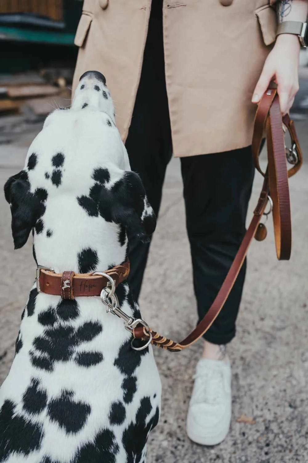 Hunter Trainingslijn Solid Education Cognac 6 Hunter Trainingslijn Solid Education Cognac - Afbeelding 4