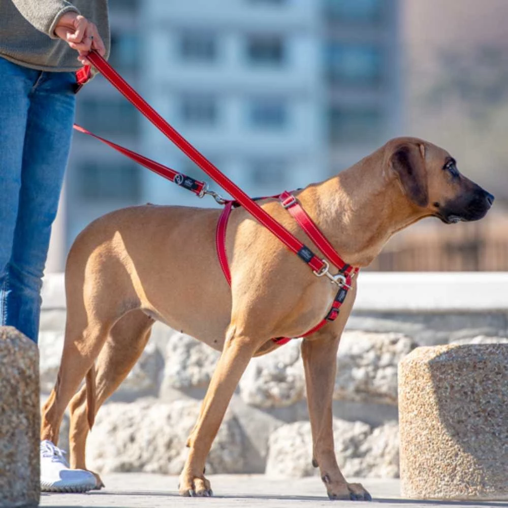 Rogz Hondenriem Utility Control Multi Lead Rood 4 Rogz Hondenriem Utility Control Multi Lead Rood - Afbeelding 2