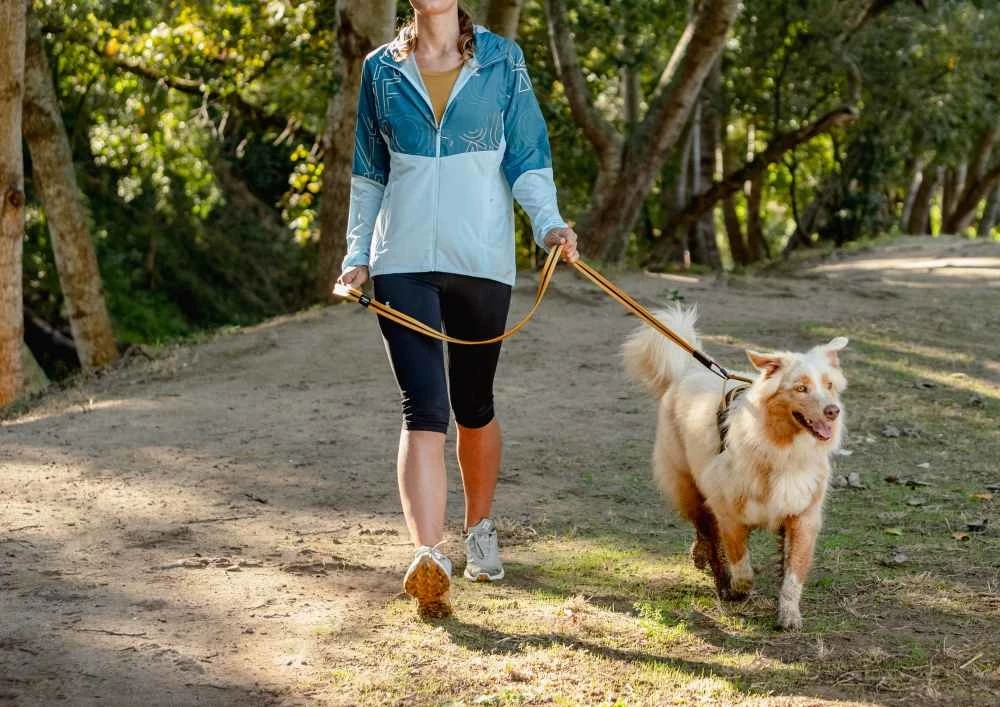 Rogz Hondenriem Airtech Ultralite Oker 4 Rogz Hondenriem Airtech Ultralite Oker - Afbeelding 2