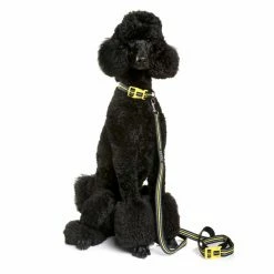 DOOG Hondenriem Neopreen Clip It Bolt -Hond winkel image 3755