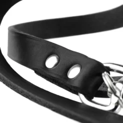 Hunter Verstelbare Hondenriem Aalborg Zwart -Hond winkel image 3820