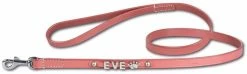 Doxtasy Hondenriem Met Naam Medium Roze