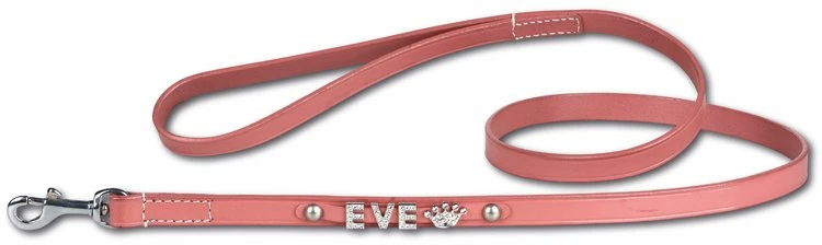 Doxtasy Hondenriem Met Naam Medium Roze 3 Doxtasy Hondenriem Met Naam Medium Roze