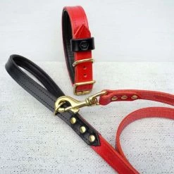 Houndworthy Hondenriem Bridle Leather Oxblood Red 7 Houndworthy Hondenriem Bridle Leather Oxblood Red -Hond winkel image 3876