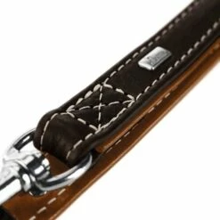 Hunter Hondenriem Tara Bruin / Cognac -Hond winkel image 3883