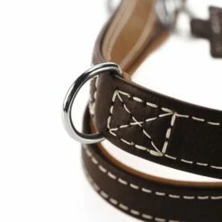 Hunter Hondenriem Tara Bruin / Cognac -Hond winkel image 3884