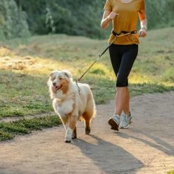 Rogz Hondenriem Handsfree Airtech Sport Oker -Hond winkel image 392