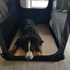 Maelson Reisbench Hond Soft Kennel Antraciet -Hond winkel image 3999