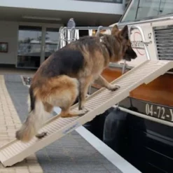 Petstep Hondenloopplank DogStep Beige -Hond winkel image 4125