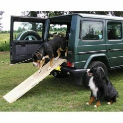 Petstep Hondenloopplank DogStep Beige -Hond winkel image 4128