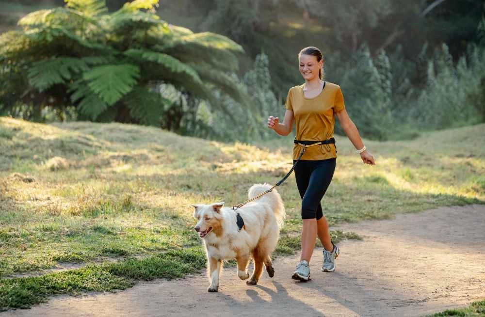 Rogz Hondentuig Airtech Sport Oker 5 Rogz Hondentuig Airtech Sport Oker - Afbeelding 3