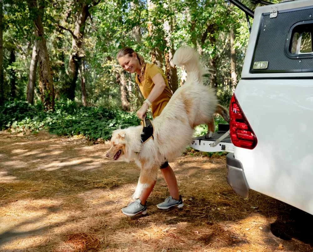 Rogz Hondentuig Airtech Sport Oker 7 Rogz Hondentuig Airtech Sport Oker - Afbeelding 5