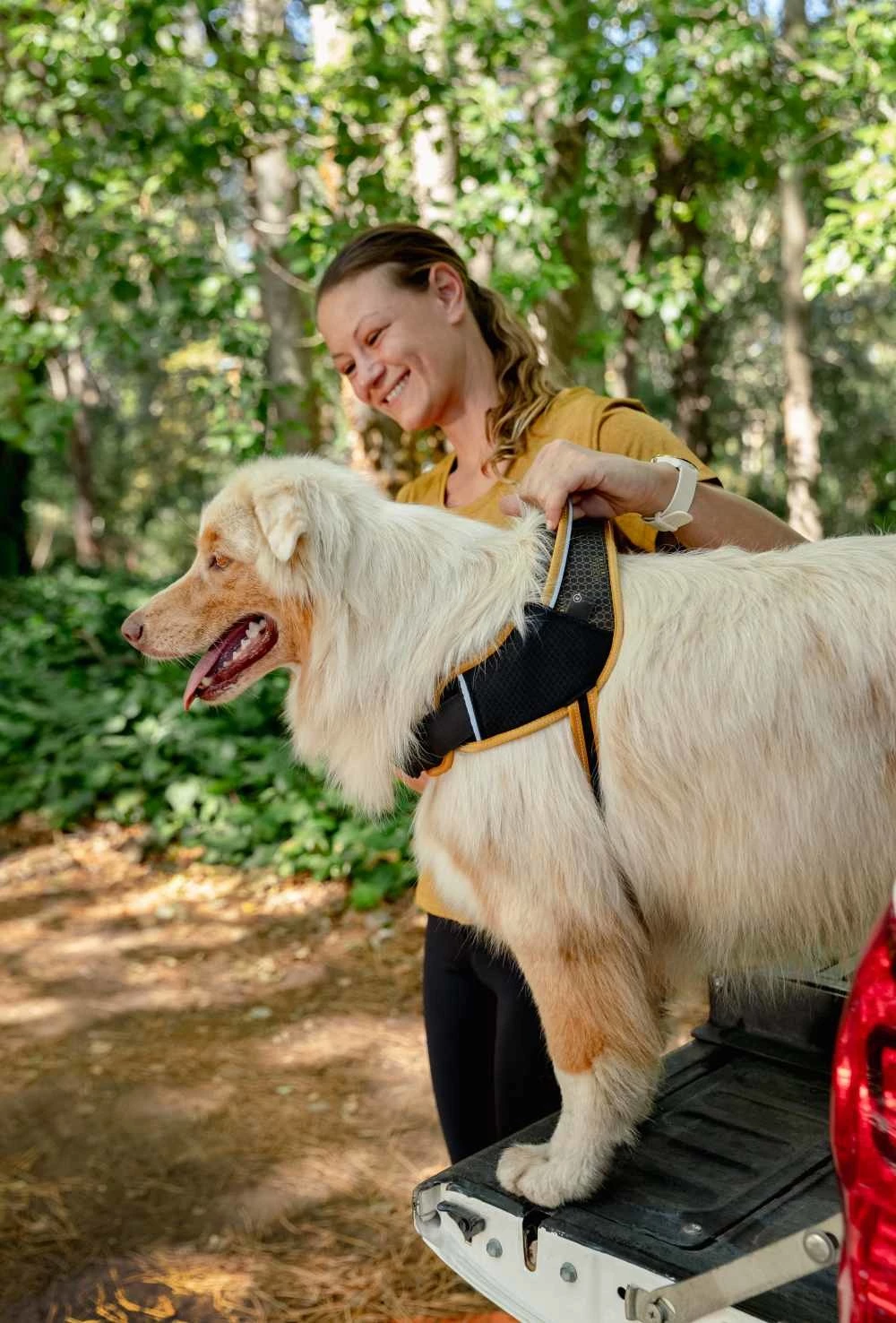 Rogz Hondentuig Airtech Sport Oker 8 Rogz Hondentuig Airtech Sport Oker - Afbeelding 6