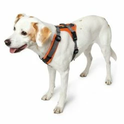 Hunter Hondentuig Maldon Oranje -Hond winkel image 4176