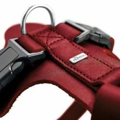 Hunter Hondentuig Aalborg Rood -Hond winkel image 4229