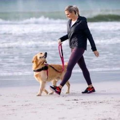 Rogz Hondentuig Airtech Sport Roze -Hond winkel image 4283