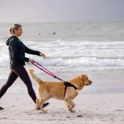 Rogz Hondentuig Airtech Sport Roze -Hond winkel image 4284