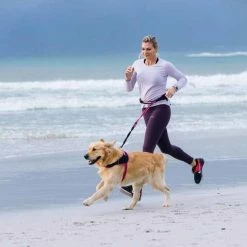 Rogz Hondentuig Airtech Sport Roze -Hond winkel image 4285