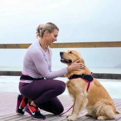 Rogz Hondentuig Airtech Sport Roze -Hond winkel image 4286