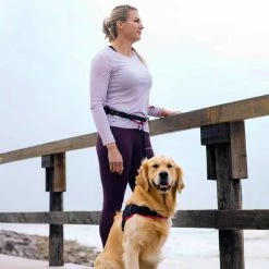 Rogz Hondentuig Airtech Sport Roze -Hond winkel image 4287